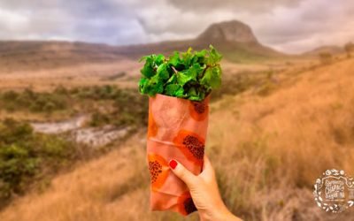 Novidade na Chapada Diamantina, os panos encerados prometem substituir o plástico filme